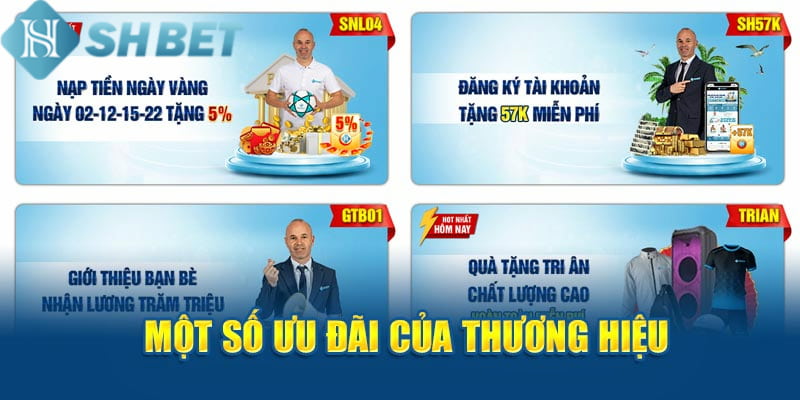 SHBET thường xuyên mang đến những khuyến mãi hấp dãn cho người chơi